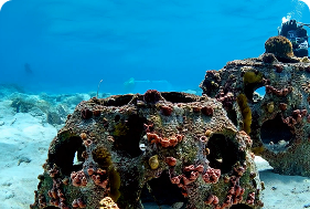 Artificial Reef Block